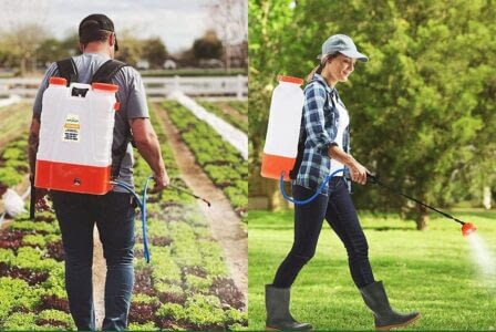 Read more about the article Best Electric Backpack Sprayers For Weeds and More